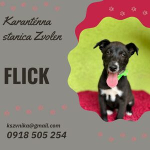 Flick