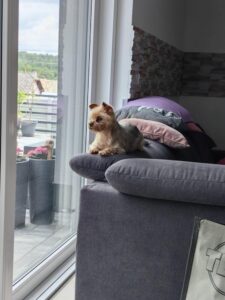 Keisy
