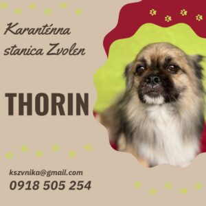Thorin