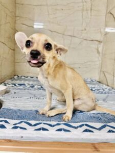 Toscana