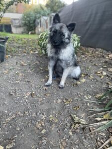 Bea