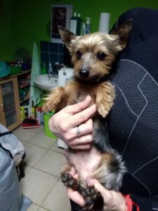 Cuco