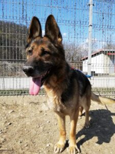 Vala
