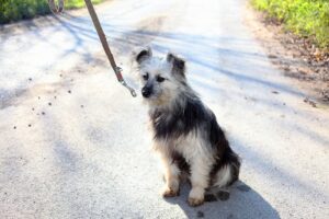 Baba