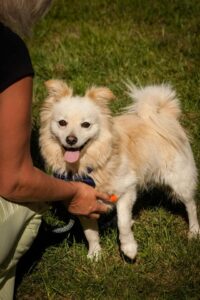 Zimba
