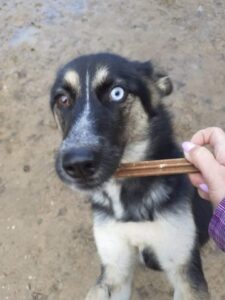 Luna
