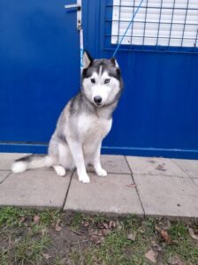 Miuska