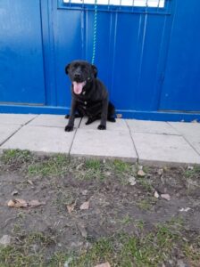 Blacky