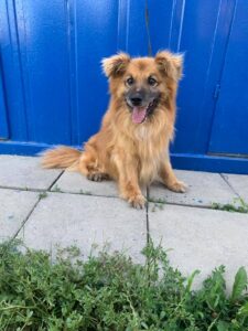 Leo