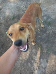 Cleo