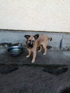 Betty