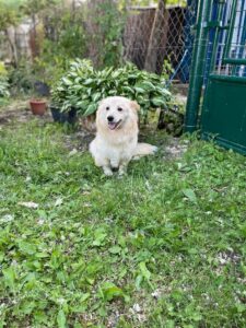 Doris