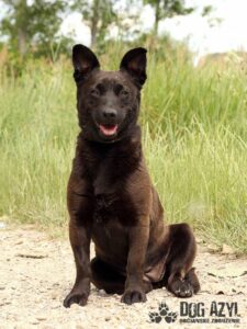 Leila